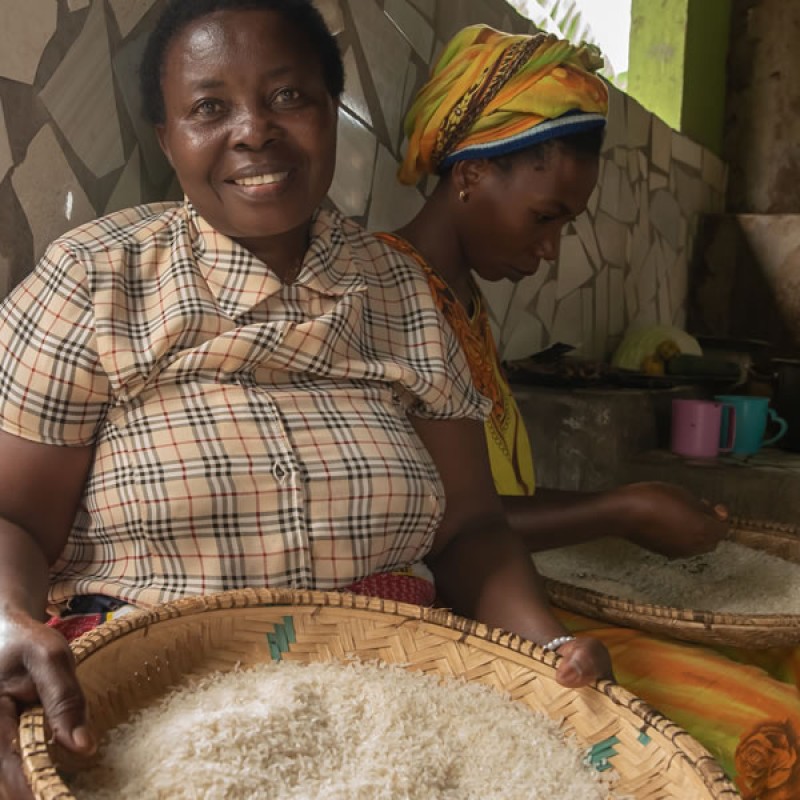 Reforming agricultural markets in Africa