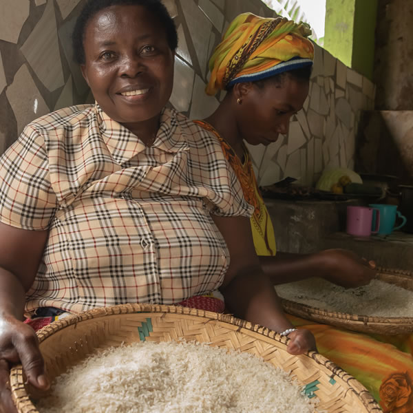 Reforming agricultural markets in Africa